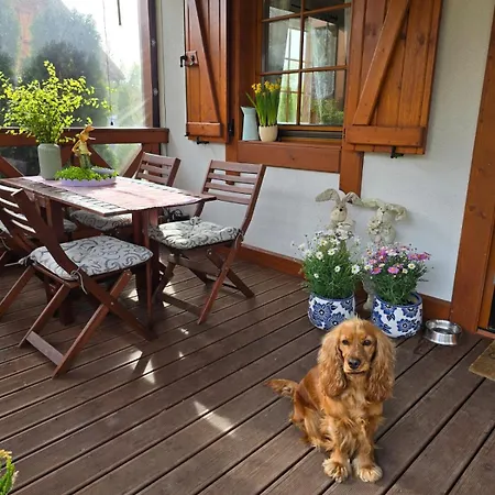 Domek Caloroczny Na Kaszubach / Kolo Chmielna Holiday home