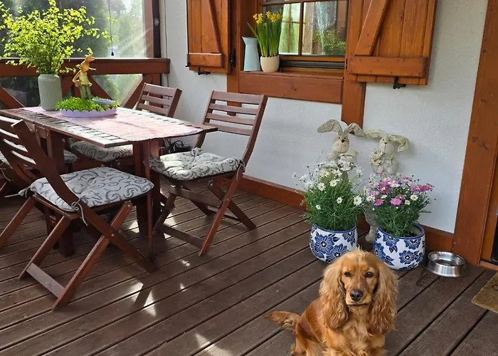 Całoroczny Na Kaszubach / Koło Chmielna Dom wakacyjny